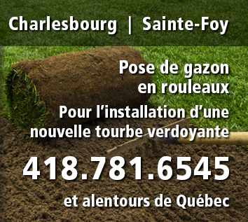 Pose de nouveau gazon dans la région de Québec dont; Charlesbourg, Beauport et Sainte-Foy